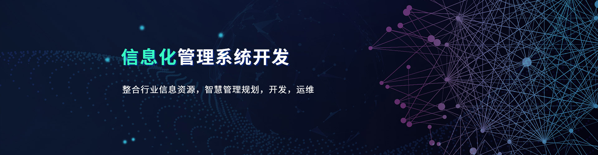 信息化管理系統開發